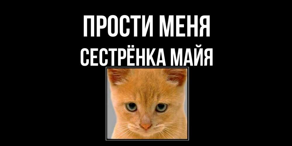 Открытка на каждый день с именем, Сестрёнка-Майя Прости меня рыжий грустный кот просит прощения Прикольная открытка с пожеланием онлайн скачать бесплатно 