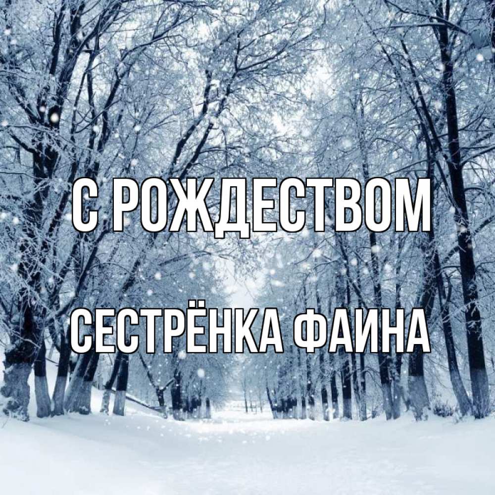 Открытка на каждый день с именем, Сестрёнка-Фаина С рождеством снег, лес, парк Прикольная открытка с пожеланием онлайн скачать бесплатно 