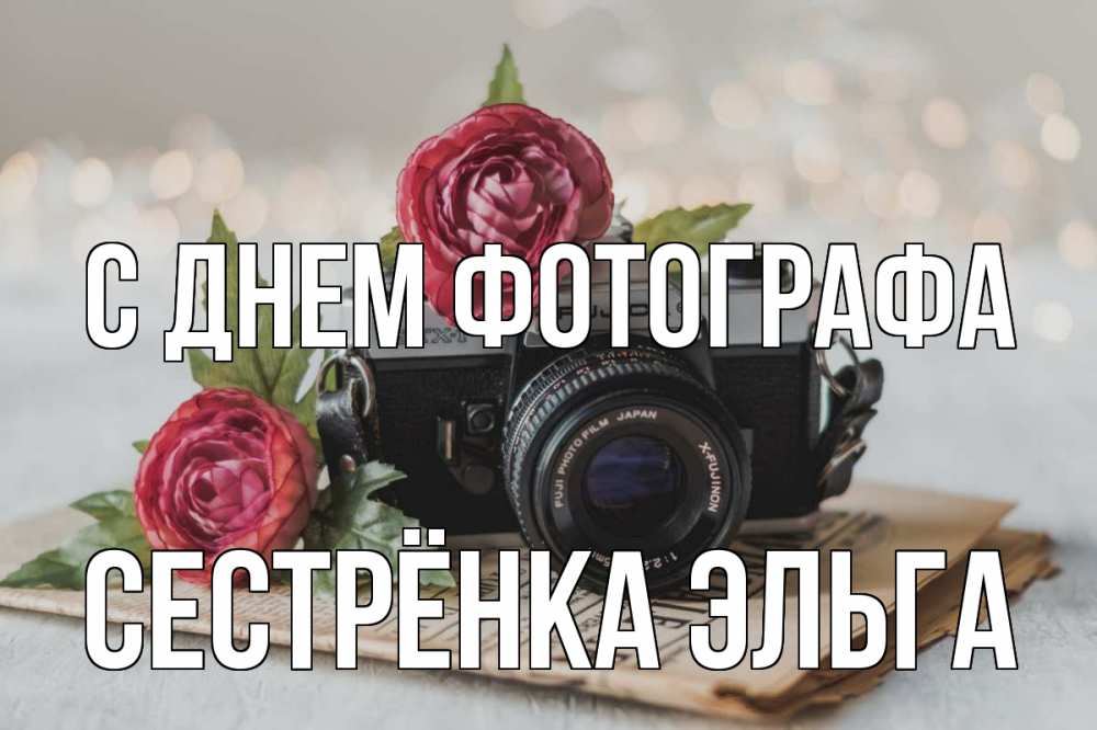 Открытка на каждый день с именем, Сестрёнка-Эльга С днем фотографа с днем фотографа Прикольная открытка с пожеланием онлайн скачать бесплатно 