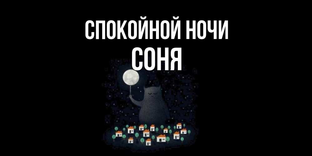 Открытка на каждый день с именем, Соня Спокойной ночи кот,луна, ночь, звезды Прикольная открытка с пожеланием онлайн скачать бесплатно 