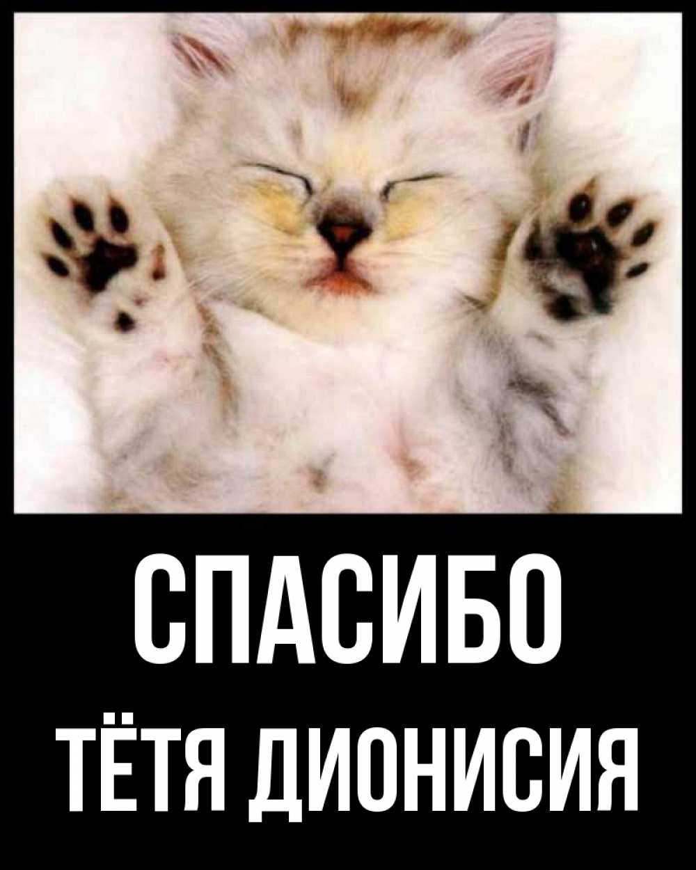 Открытка на каждый день с именем, Тётя-Дионисия Спасибо маленький котенок Прикольная открытка с пожеланием онлайн скачать бесплатно 