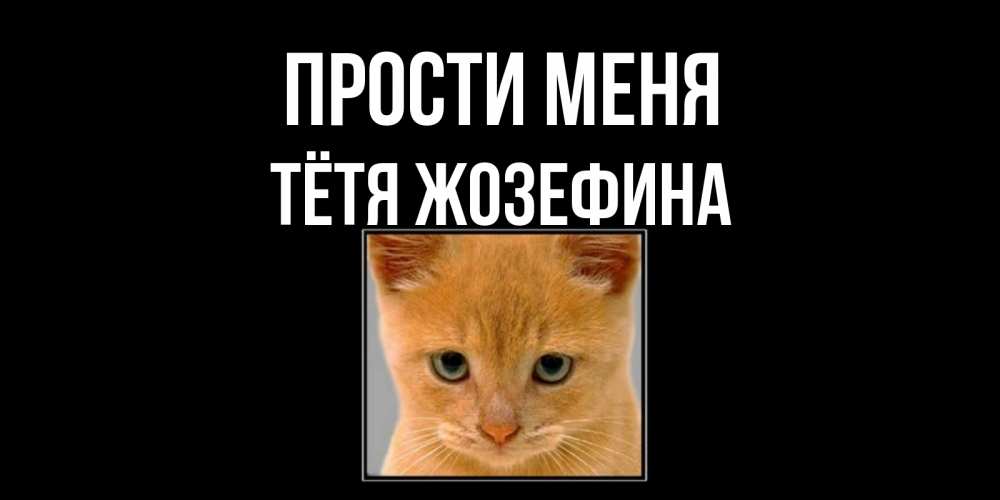 Открытка на каждый день с именем, Тётя-Жозефина Прости меня рыжий грустный кот просит прощения Прикольная открытка с пожеланием онлайн скачать бесплатно 