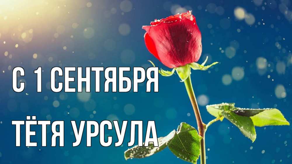 Открытка на каждый день с именем, Тётя-Урсула С 1 сентября с днем знаний Прикольная открытка с пожеланием онлайн скачать бесплатно 