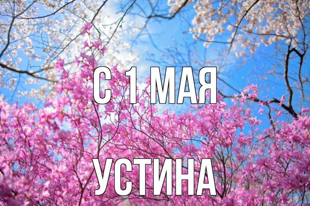 Открытка на каждый день с именем, Устина С 1 мая С 1 мая Прикольная открытка с пожеланием онлайн скачать бесплатно 