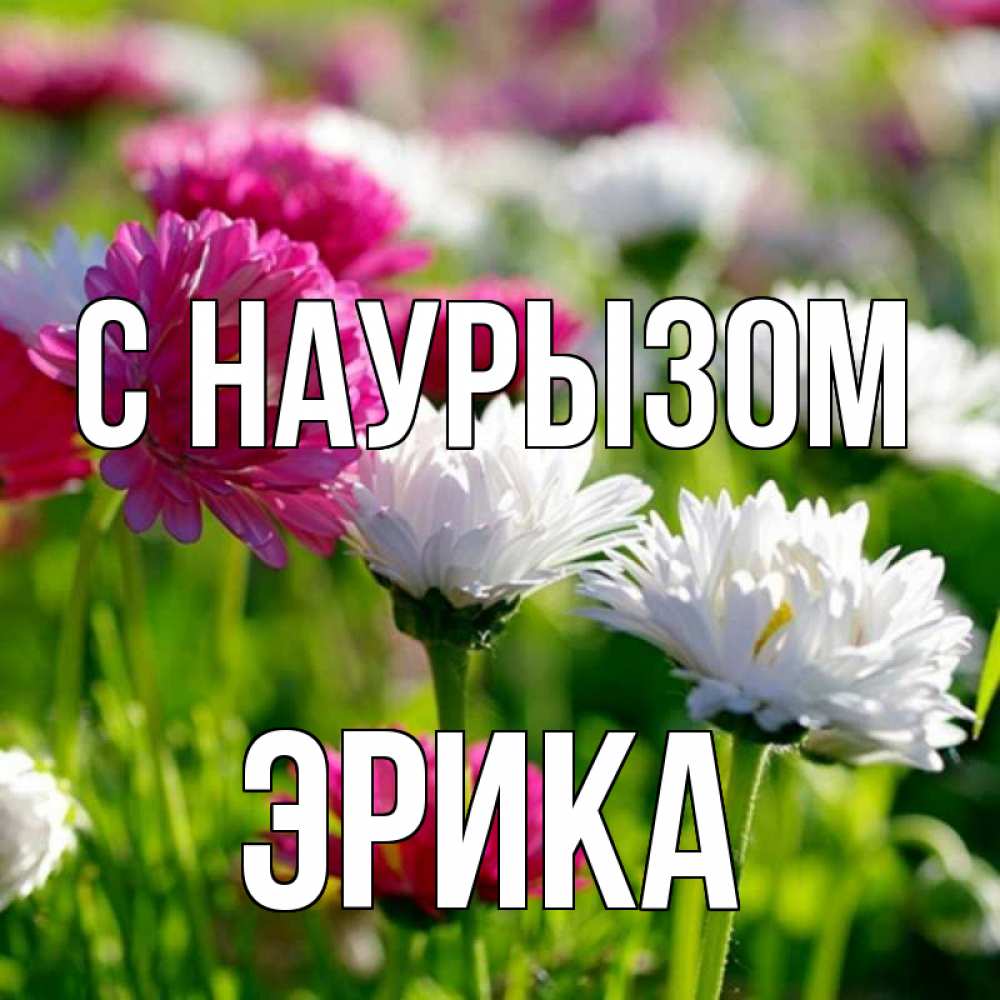 Открытка на каждый день с именем, Эрика С наурызом праздник весны наурыз красота Прикольная открытка с пожеланием онлайн скачать бесплатно 