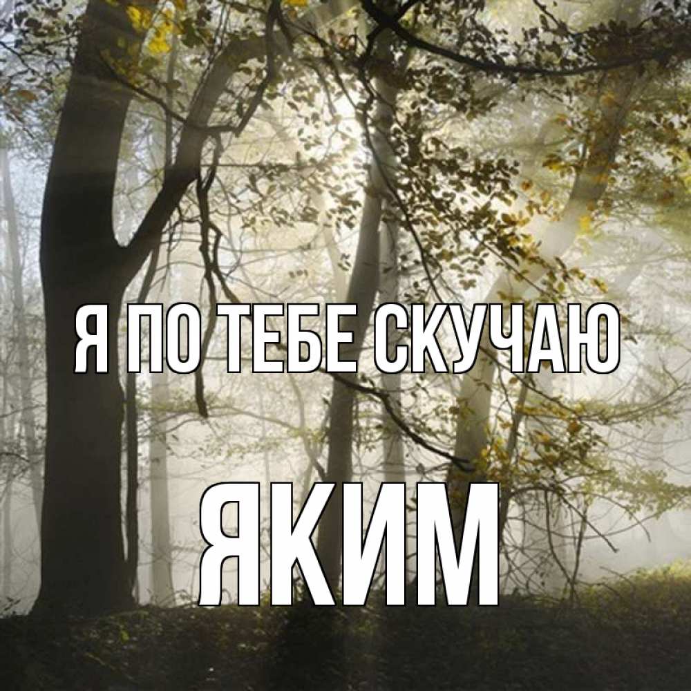 Открытка на каждый день с именем, Яким Я по тебе скучаю грустно Прикольная открытка с пожеланием онлайн скачать бесплатно 