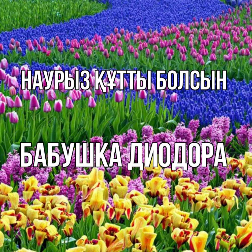 Открытка на каждый день с именем, Бабушка-Диодора Наурыз құтты болсын цветы Прикольная открытка с пожеланием онлайн скачать бесплатно 