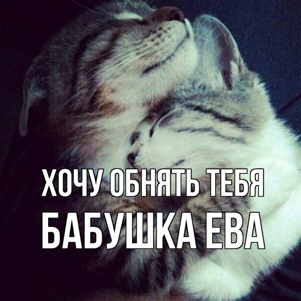 Открытка на каждый день с именем, Бабушка-Ева Хочу обнять тебя полосатики Прикольная открытка с пожеланием онлайн скачать бесплатно 