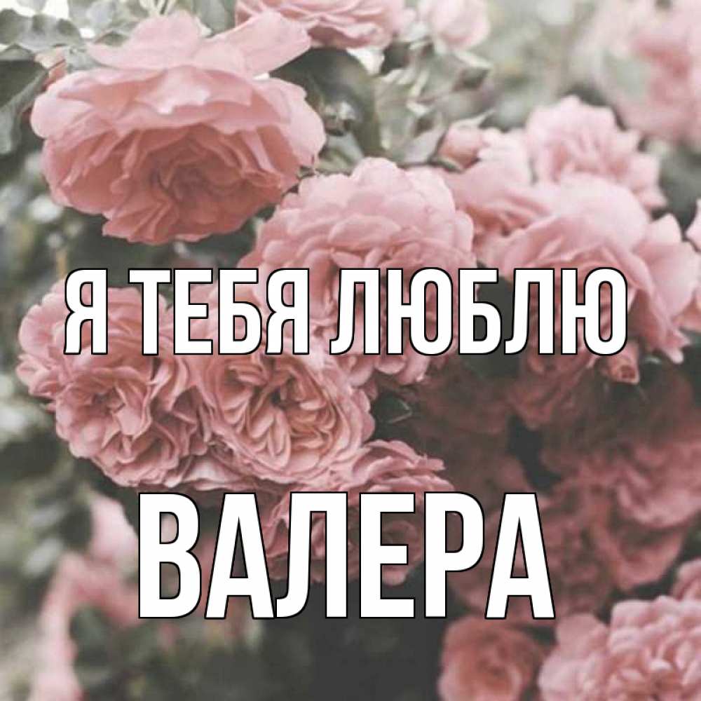 Открытка на каждый день с именем, Валера Я тебя люблю розы 3 Прикольная открытка с пожеланием онлайн скачать бесплатно 