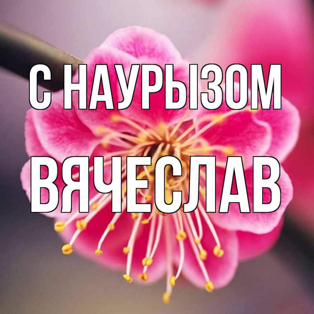 Открытка на каждый день с именем, Вячеслав С наурызом цветы Прикольная открытка с пожеланием онлайн скачать бесплатно 