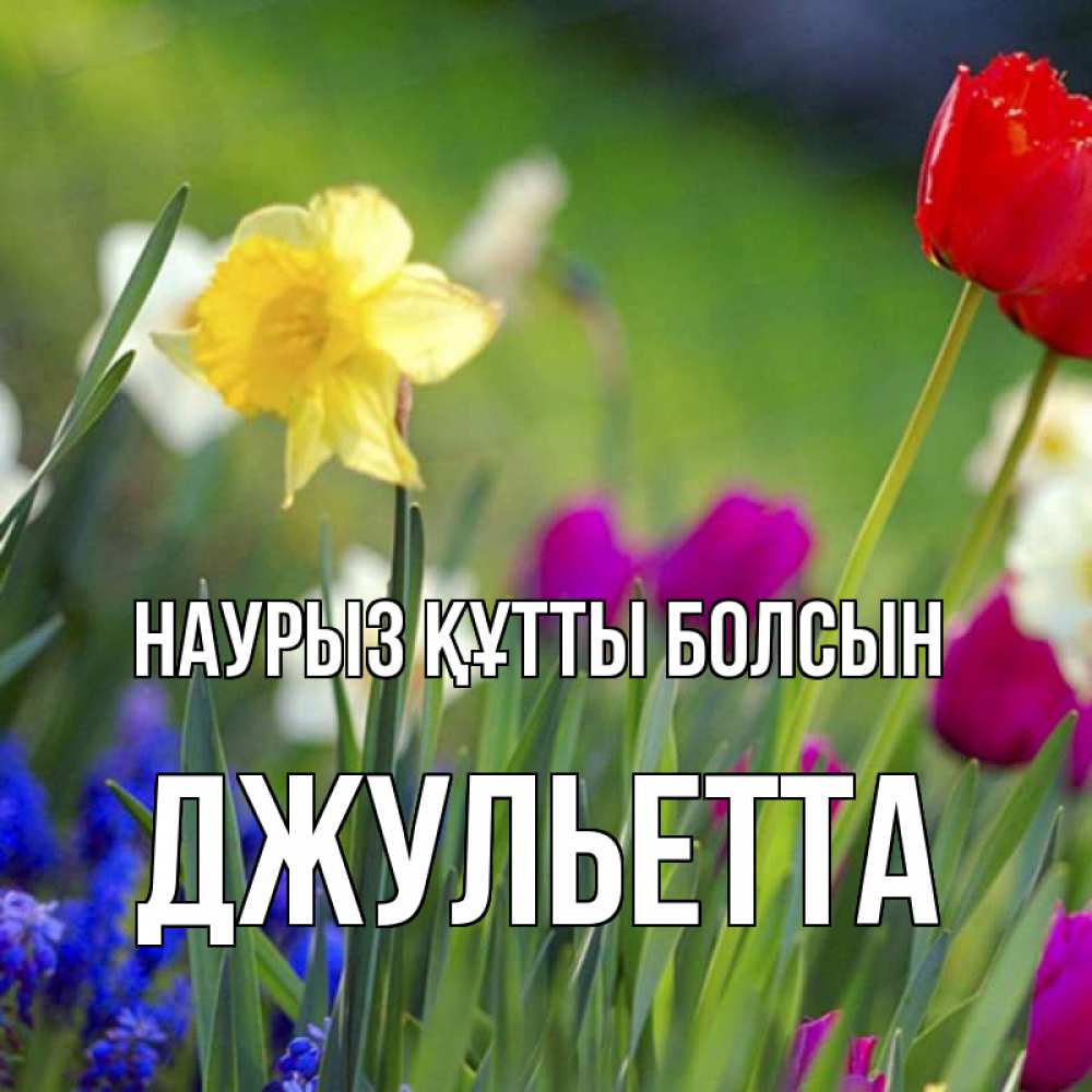 Открытка на каждый день с именем, Джульетта Наурыз құтты болсын наурыз  3 открытки Прикольная открытка с пожеланием онлайн скачать бесплатно 