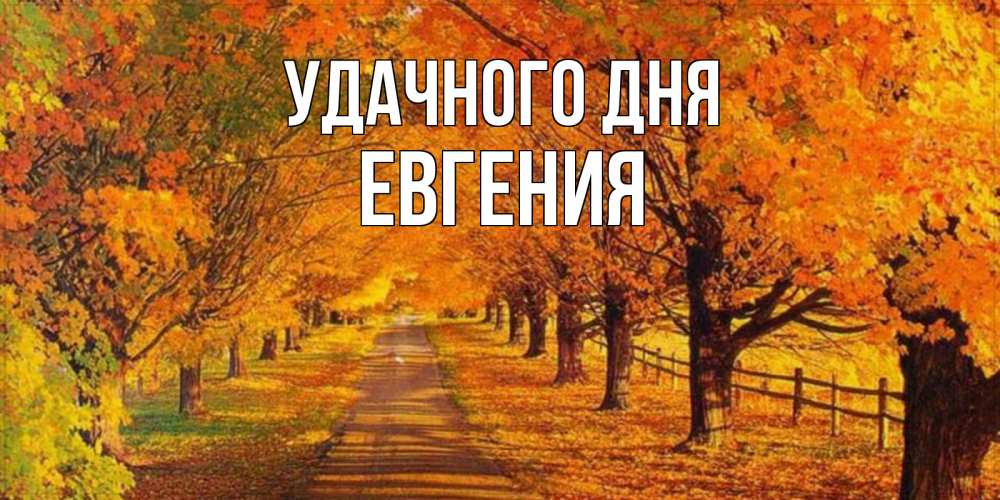 Открытка на каждый день с именем, Евгения Удачного дня деревья с осенними листьями Прикольная открытка с пожеланием онлайн скачать бесплатно 
