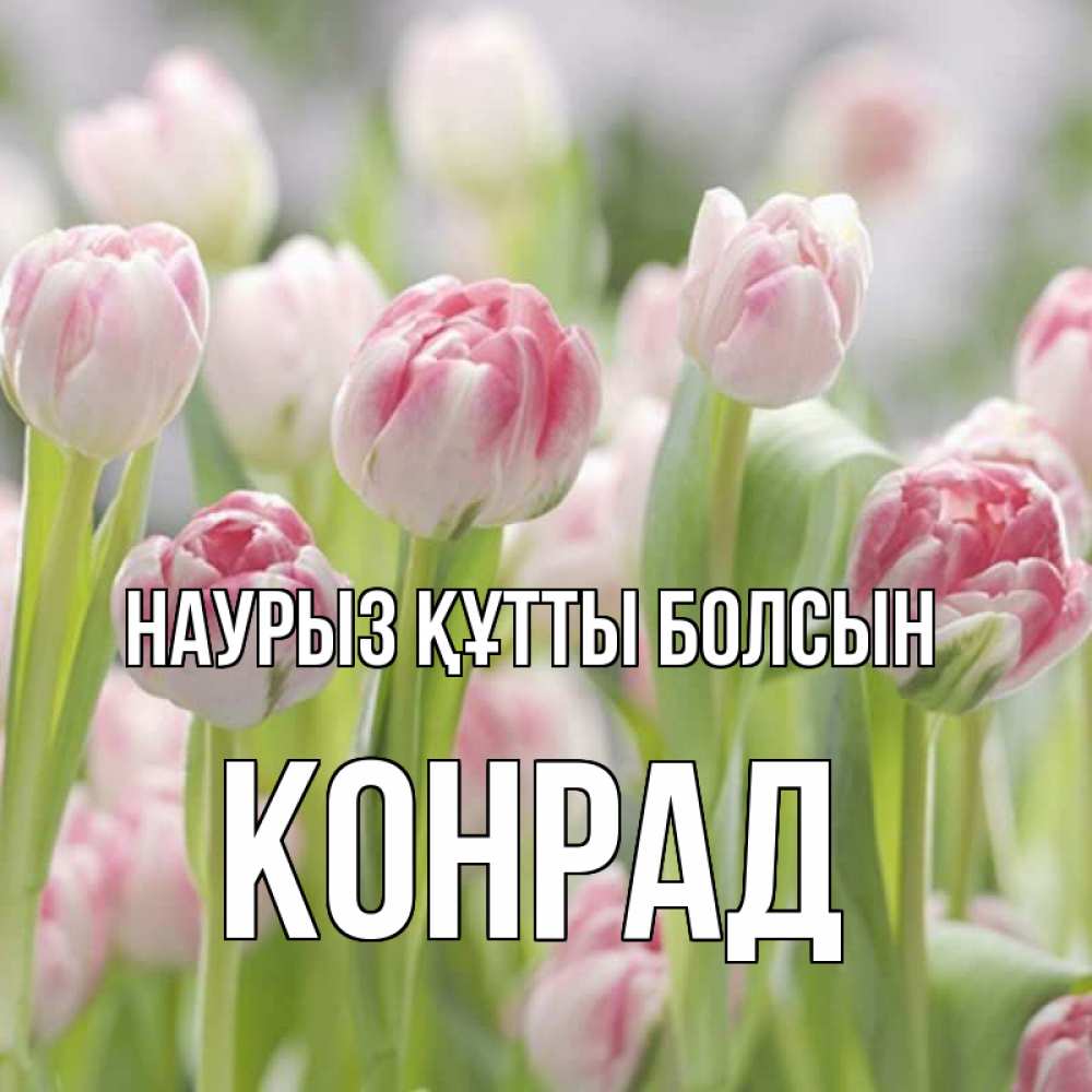 Открытка на каждый день с именем, Конрад Наурыз құтты болсын цветы Прикольная открытка с пожеланием онлайн скачать бесплатно 