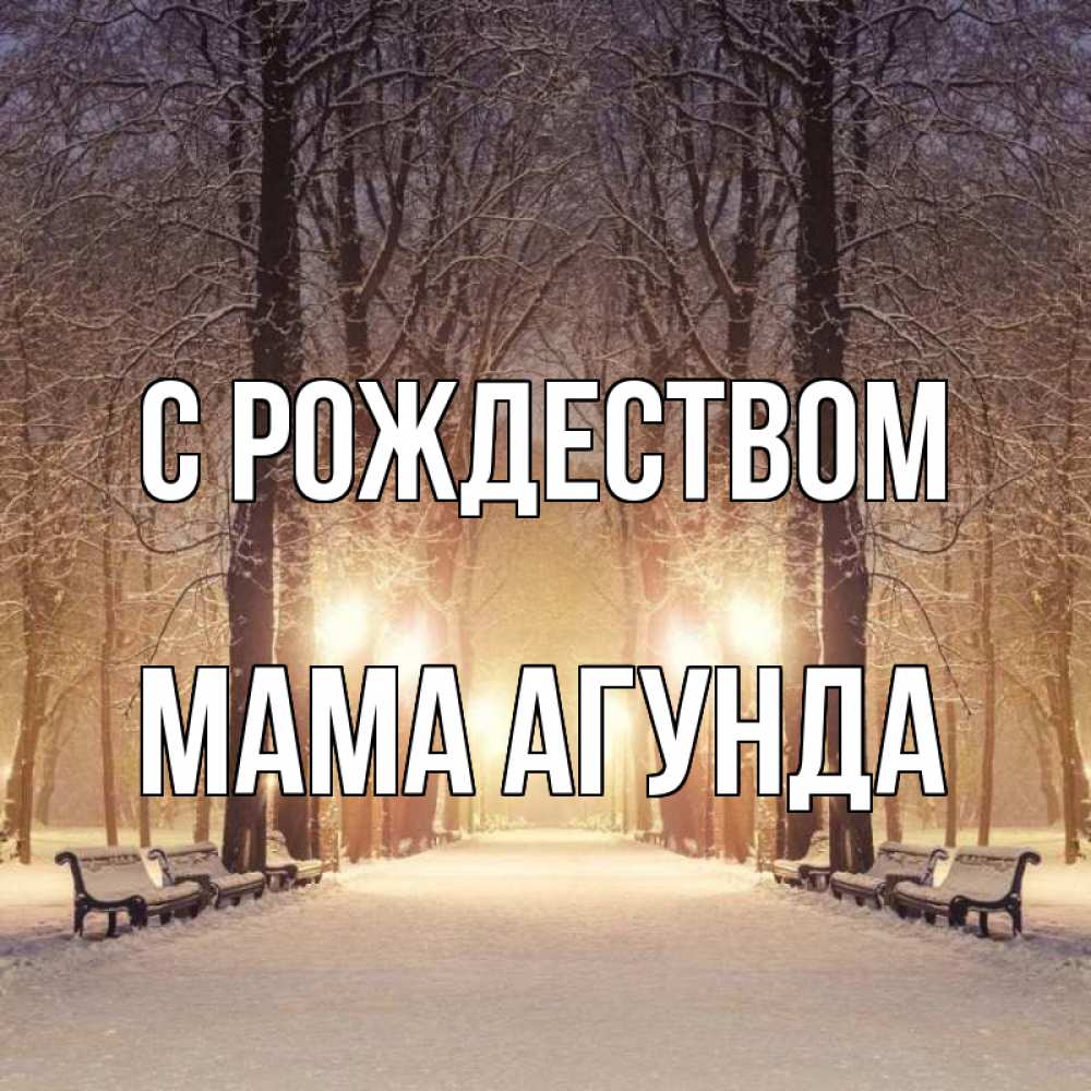 Открытка на каждый день с именем, Мама-Агунда С рождеством зима, парк, фонарь, лес Прикольная открытка с пожеланием онлайн скачать бесплатно 