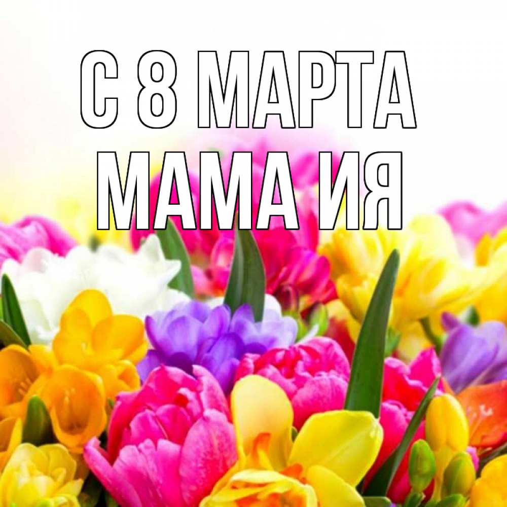 Открытка на каждый день с именем, Мама-Ия С 8 МАРТА тюльпаны Прикольная открытка с пожеланием онлайн скачать бесплатно 