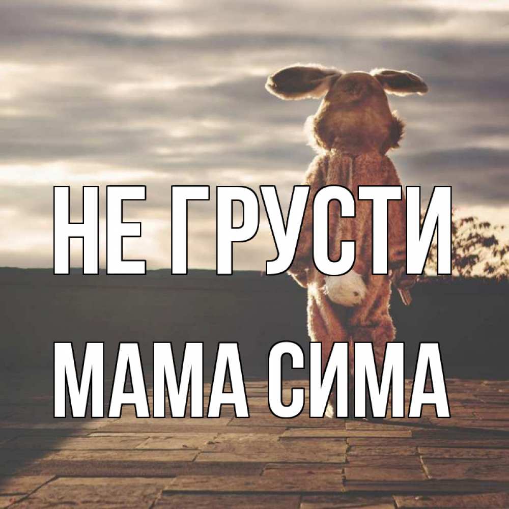 Открытка на каждый день с именем, Мама-Сима Не грусти со спины Прикольная открытка с пожеланием онлайн скачать бесплатно 