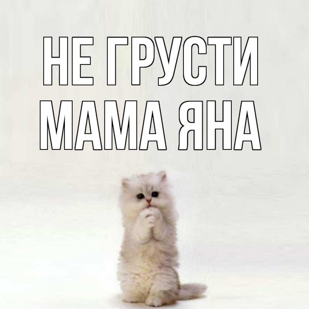 Открытка на каждый день с именем, Мама-Яна Не грусти грустный кот Прикольная открытка с пожеланием онлайн скачать бесплатно 