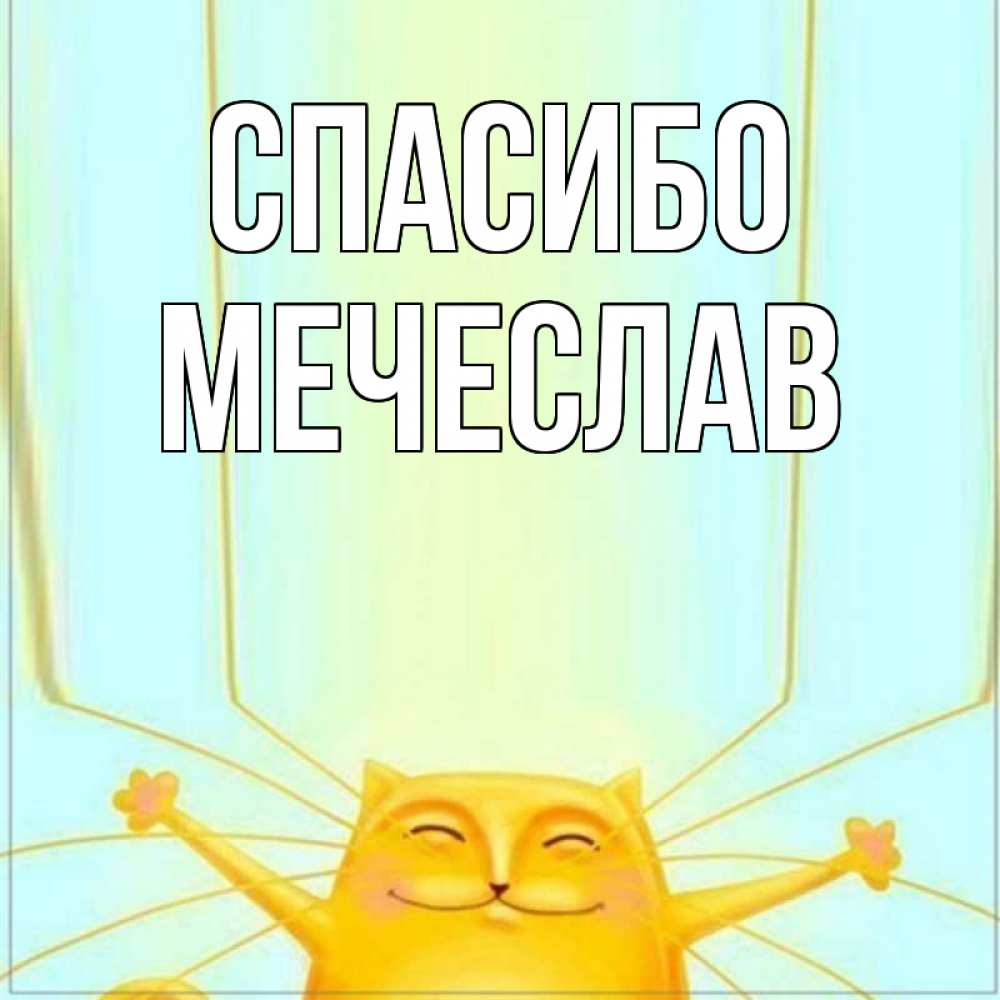 Открытка на каждый день с именем, Мечеслав Спасибо кот с усами благодарит Прикольная открытка с пожеланием онлайн скачать бесплатно 
