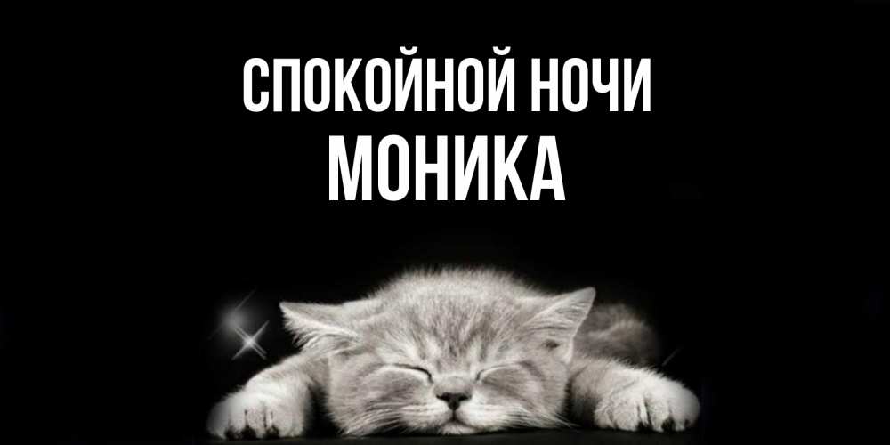 Открытка на каждый день с именем, Моника Спокойной ночи спящий котик Прикольная открытка с пожеланием онлайн скачать бесплатно 