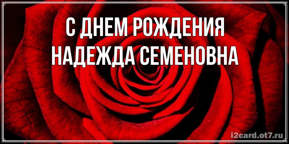 Открытка на каждый день с именем, Надежда-Семеновна С днем рождения алая роза Прикольная открытка с пожеланием онлайн скачать бесплатно 