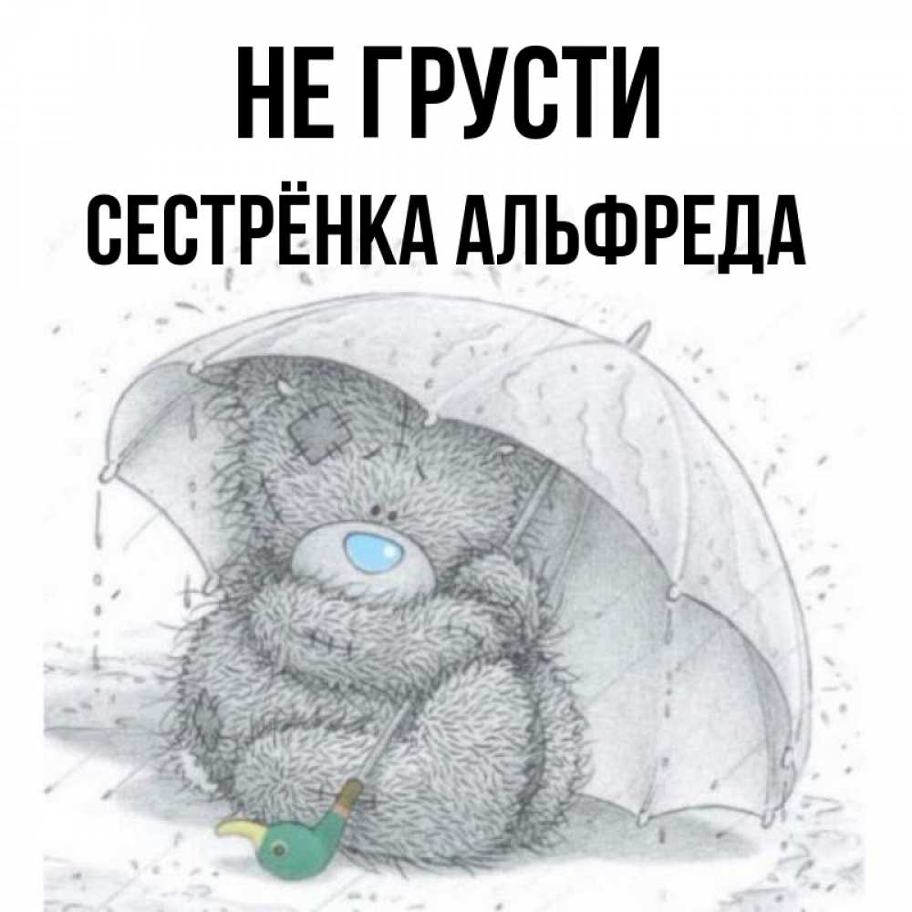 Открытка на каждый день с именем, Сестрёнка-Альфреда Не грусти спасите мишку Тедди Прикольная открытка с пожеланием онлайн скачать бесплатно 