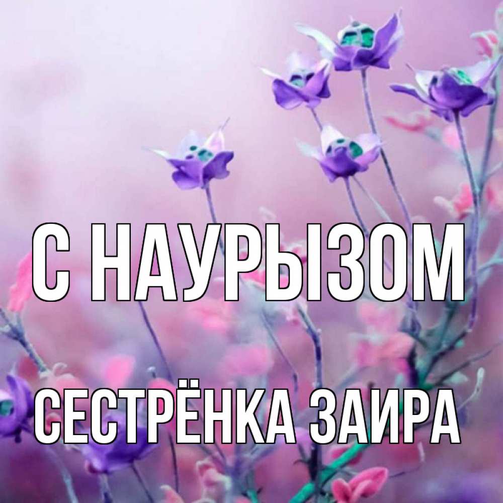 Открытка на каждый день с именем, Сестрёнка-Заира С наурызом международный женский день 2 Прикольная открытка с пожеланием онлайн скачать бесплатно 