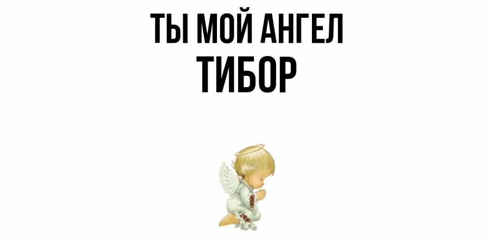Открытка на каждый день с именем, Тибор Ты мой ангел ангел Прикольная открытка с пожеланием онлайн скачать бесплатно 
