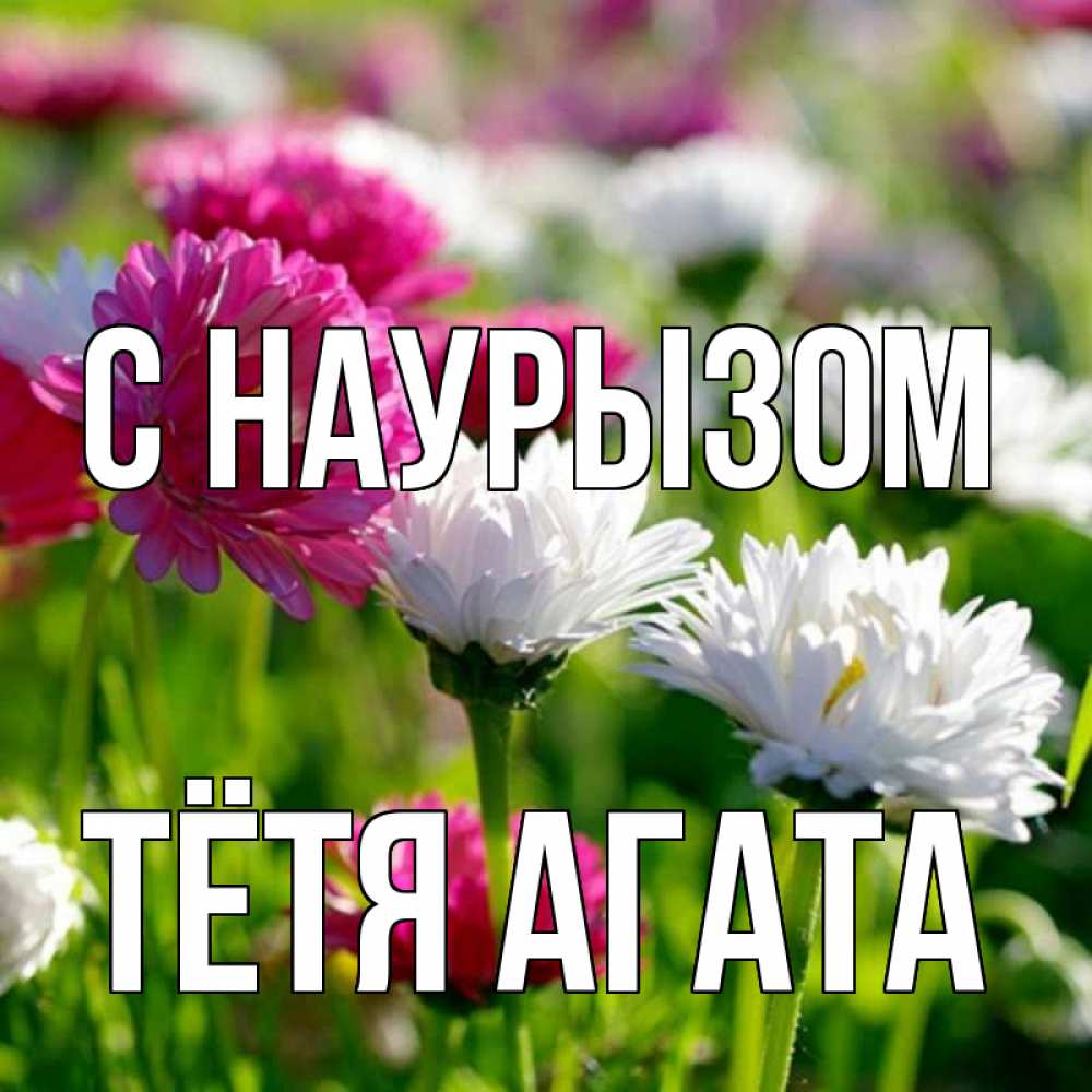 Открытка на каждый день с именем, Тётя-Агата С наурызом праздник весны наурыз красота Прикольная открытка с пожеланием онлайн скачать бесплатно 