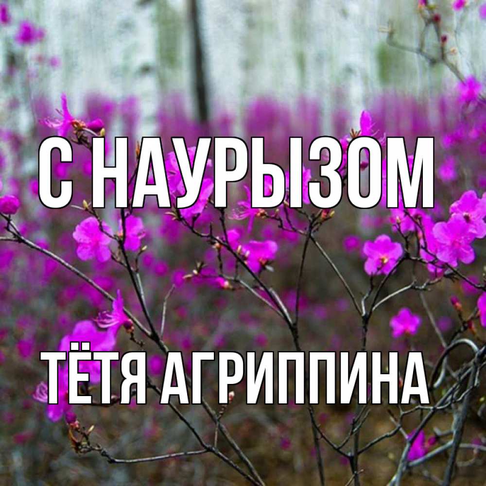 Открытка на каждый день с именем, Тётя-Агриппина С наурызом дикие цветы Прикольная открытка с пожеланием онлайн скачать бесплатно 