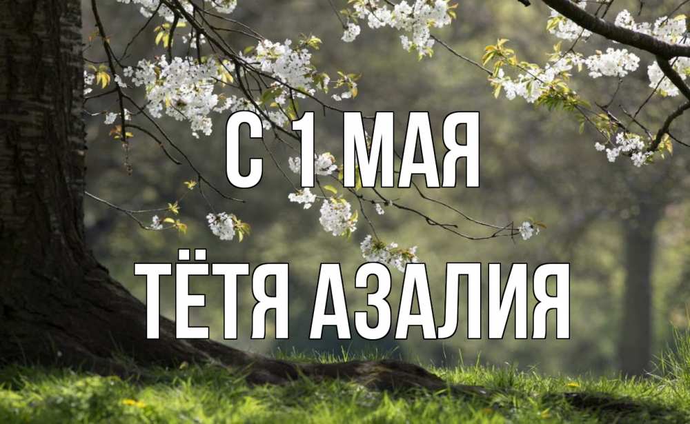 Открытка на каждый день с именем, Тётя-Азалия С 1 мая С 1 мая Прикольная открытка с пожеланием онлайн скачать бесплатно 