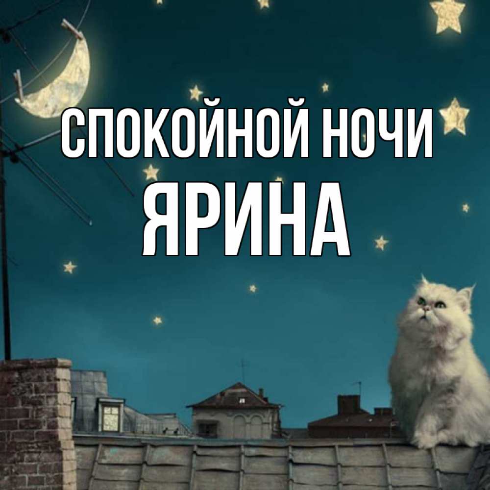 Открытка на каждый день с именем, Ярина Спокойной ночи белый кот сидит на крыше Прикольная открытка с пожеланием онлайн скачать бесплатно 