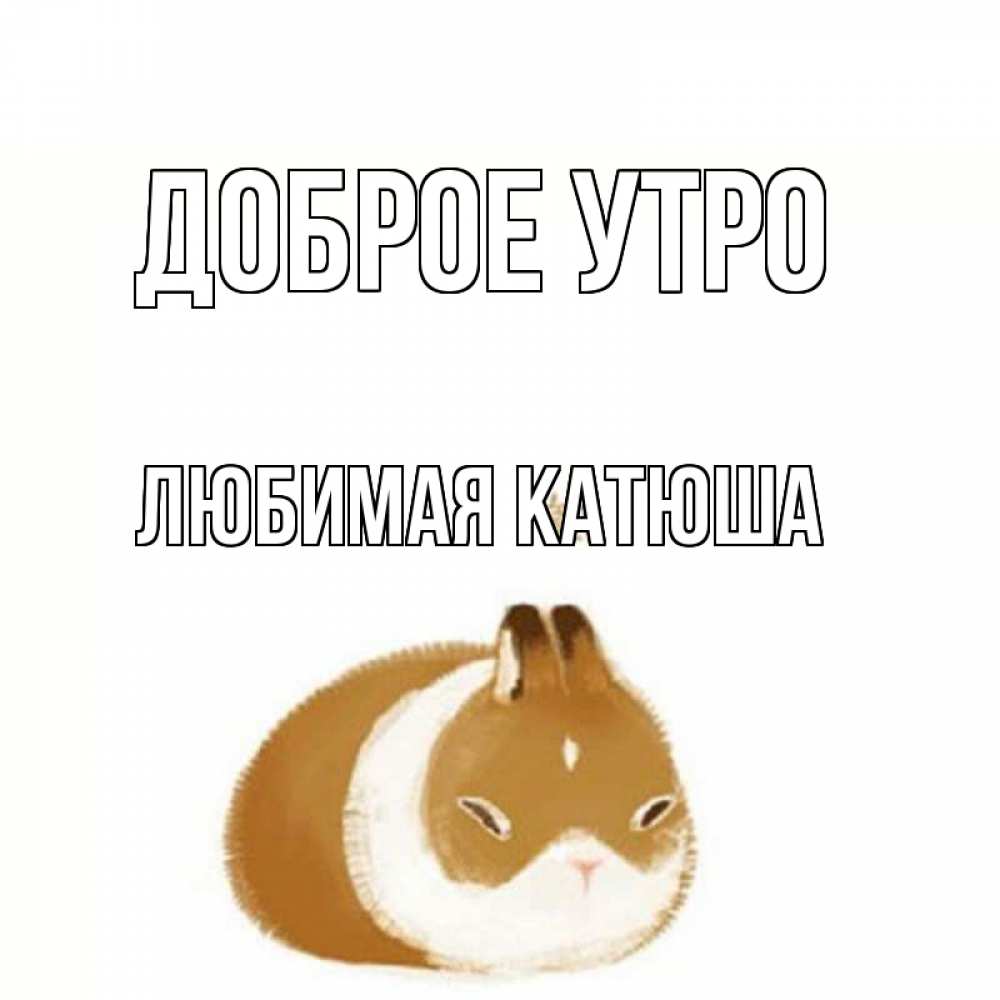 Открытка на каждый день с именем, любимая-Катюша Доброе утро хорошего утречка Прикольная открытка с пожеланием онлайн скачать бесплатно 