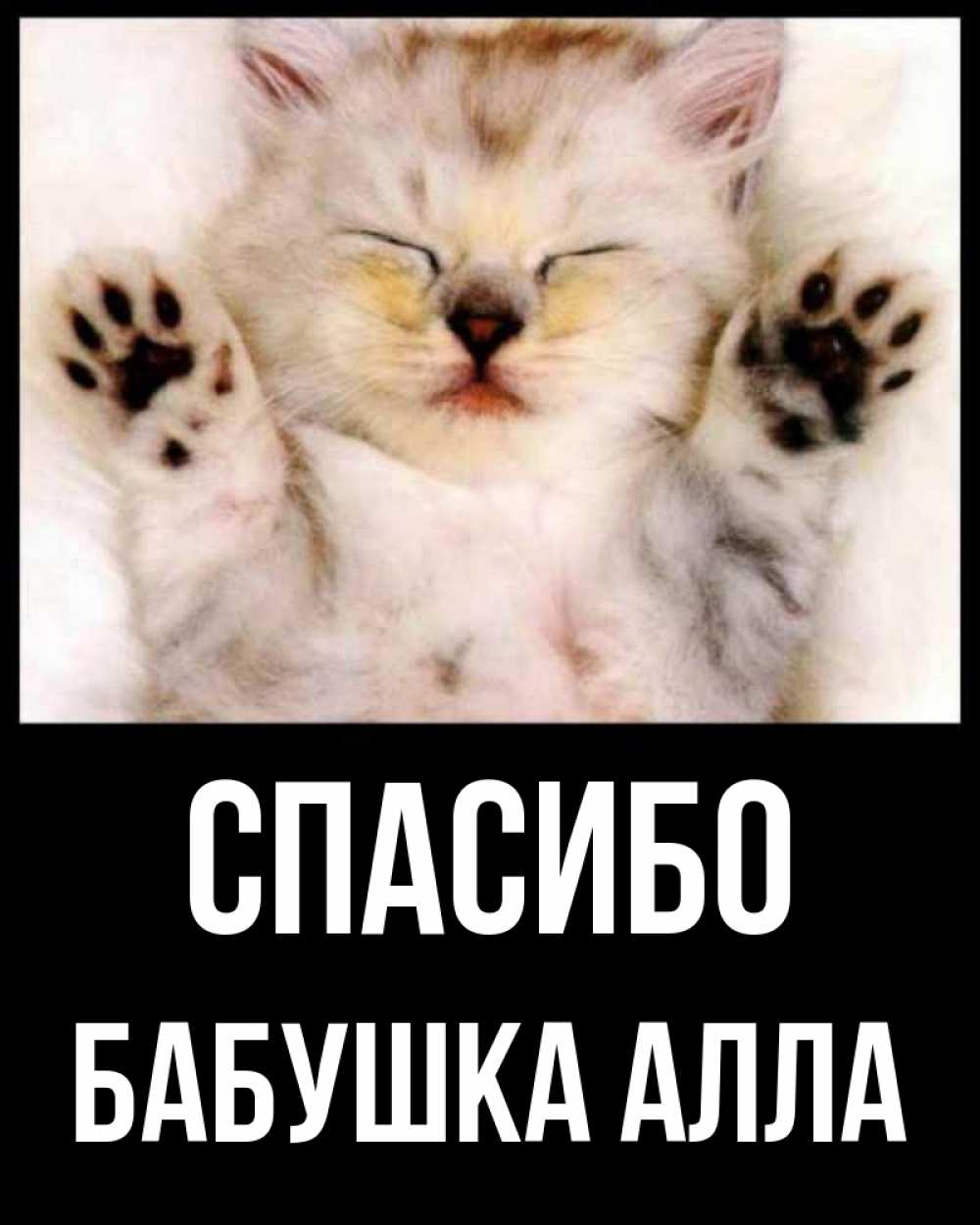 Открытка на каждый день с именем, Бабушка-Алла Спасибо маленький котенок Прикольная открытка с пожеланием онлайн скачать бесплатно 