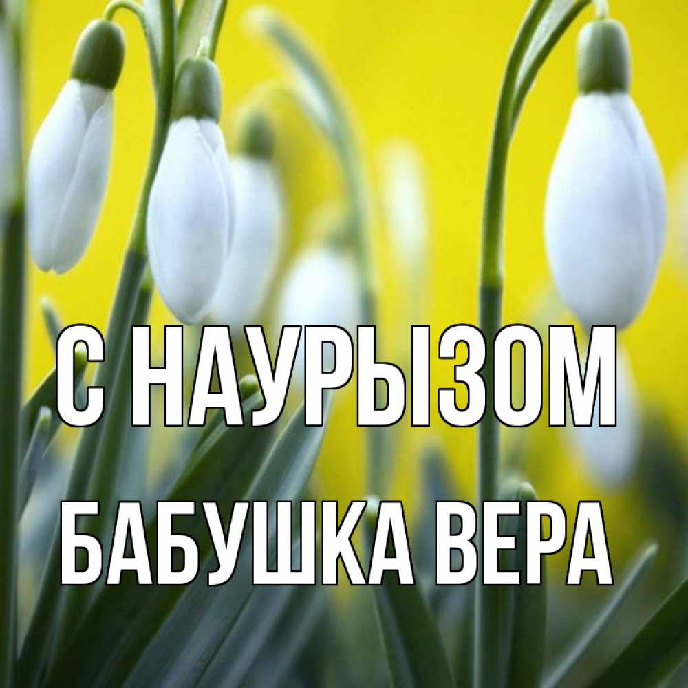 Открытка на каждый день с именем, Бабушка-Вера С наурызом весенние цветы Прикольная открытка с пожеланием онлайн скачать бесплатно 
