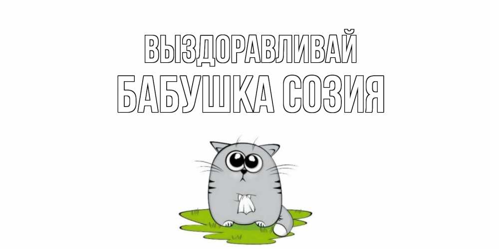 Открытка на каждый день с именем, Бабушка-Созия Выздоравливай кот и открытки про выздоровление Прикольная открытка с пожеланием онлайн скачать бесплатно 