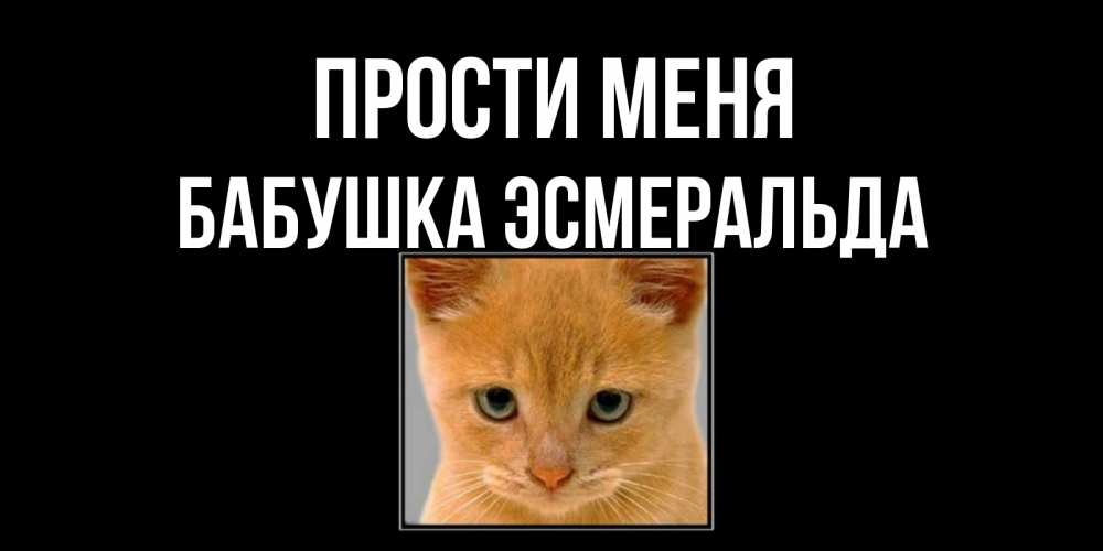 Открытка на каждый день с именем, Бабушка-Эсмеральда Прости меня рыжий грустный кот просит прощения Прикольная открытка с пожеланием онлайн скачать бесплатно 