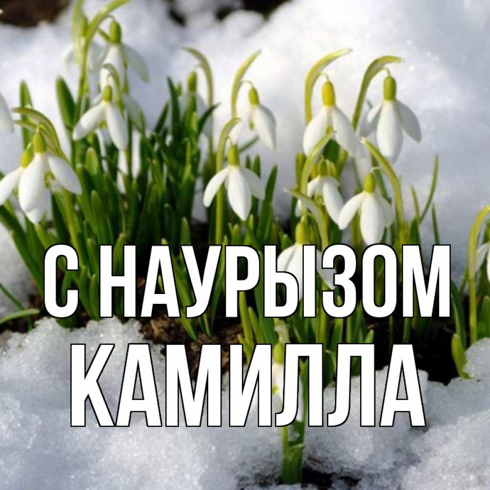 Открытка на каждый день с именем, Камилла С наурызом цветы весенние Прикольная открытка с пожеланием онлайн скачать бесплатно 