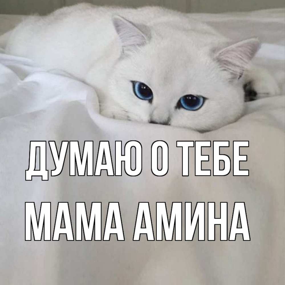 Открытка на каждый день с именем, Мама-Амина Думаю о тебе я очень по тебе скучаю и тоскую Прикольная открытка с пожеланием онлайн скачать бесплатно 
