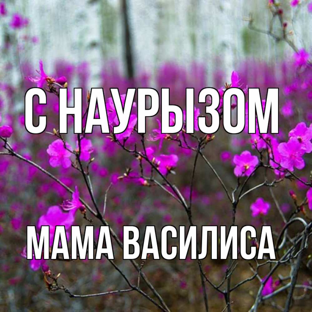 Открытка на каждый день с именем, Мама-Василиса С наурызом дикие цветы Прикольная открытка с пожеланием онлайн скачать бесплатно 