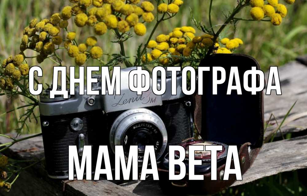 Открытка на каждый день с именем, Мама-Вета С днем фотографа с днем фотографа Прикольная открытка с пожеланием онлайн скачать бесплатно 