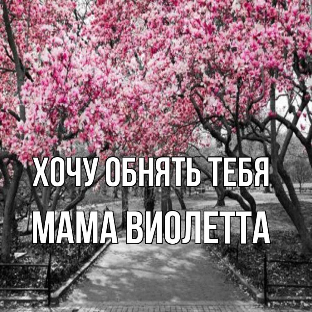 Открытка на каждый день с именем, Мама-Виолетта Хочу обнять тебя обработанное фото Прикольная открытка с пожеланием онлайн скачать бесплатно 