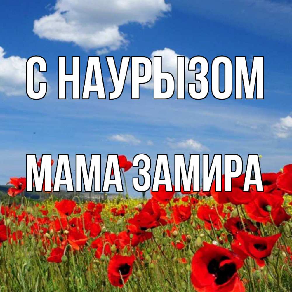 Открытка на каждый день с именем, Мама-Замира С наурызом праздник весны наурыз очень красивая картинка Прикольная открытка с пожеланием онлайн скачать бесплатно 