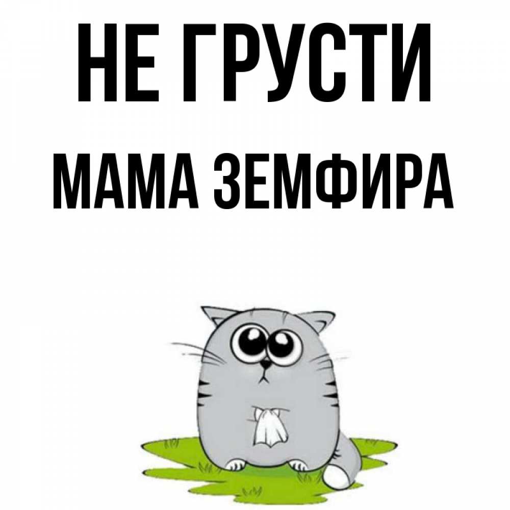 Открытка на каждый день с именем, Мама-Земфира Не грусти грустный котяра Прикольная открытка с пожеланием онлайн скачать бесплатно 