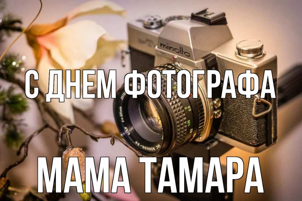 Открытка на каждый день с именем, Мама-Тамара С днем фотографа с днем фотографа 1 Прикольная открытка с пожеланием онлайн скачать бесплатно 