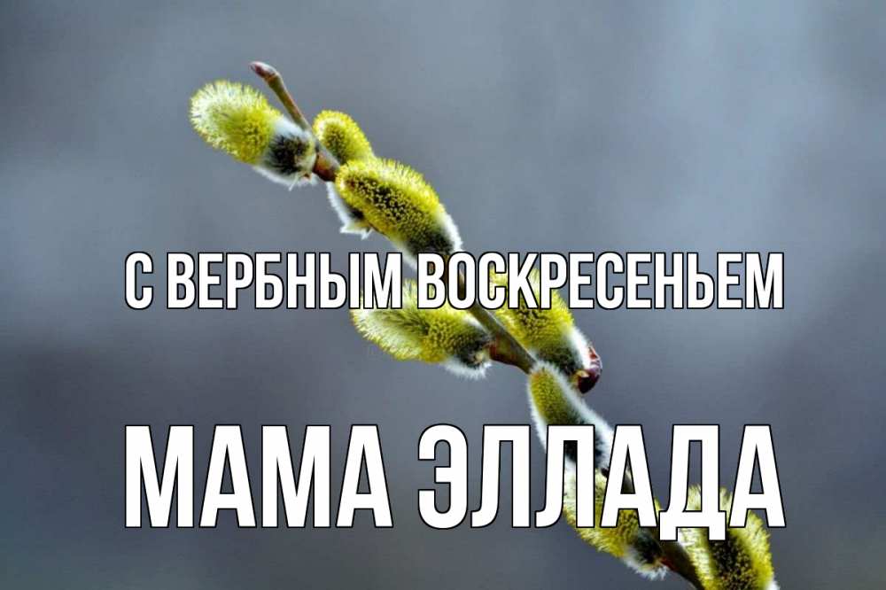 Открытка на каждый день с именем, Мама-Эллада С вербным воскресеньем верба Прикольная открытка с пожеланием онлайн скачать бесплатно 