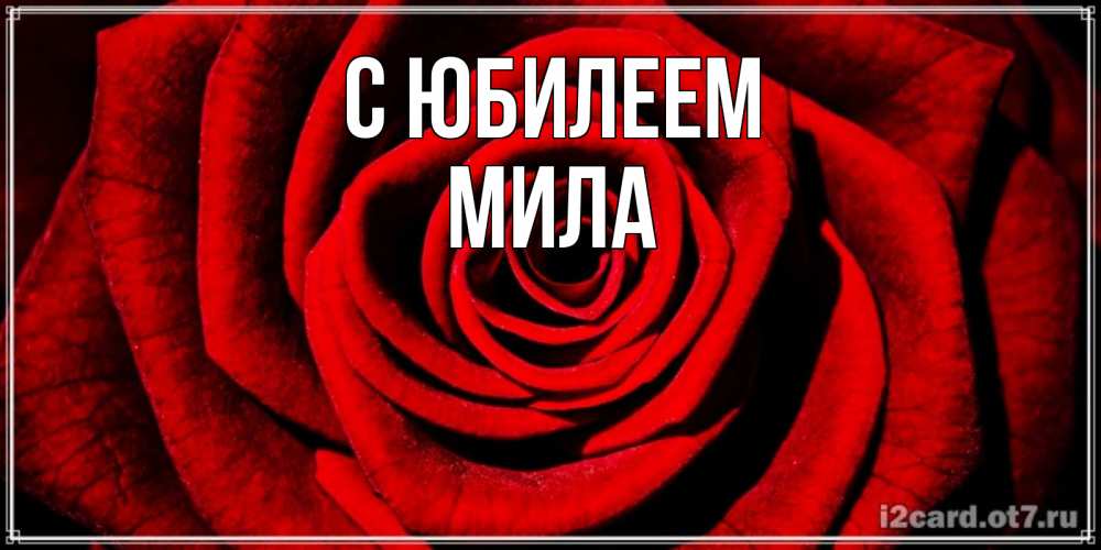 Открытка на каждый день с именем, Мила С юбилеем алая роза Прикольная открытка с пожеланием онлайн скачать бесплатно 