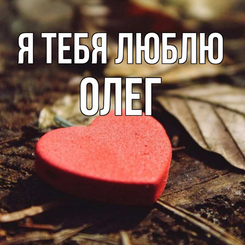 Открытка на каждый день с именем, ОЛЕГ Я тебя люблю листья деревье 4 Прикольная открытка с пожеланием онлайн скачать бесплатно 