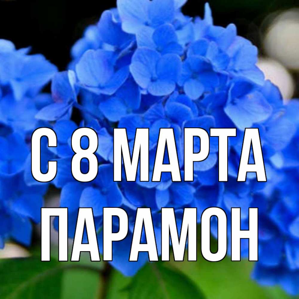 Открытка на каждый день с именем, Парамон С 8 МАРТА синие цветы Прикольная открытка с пожеланием онлайн скачать бесплатно 