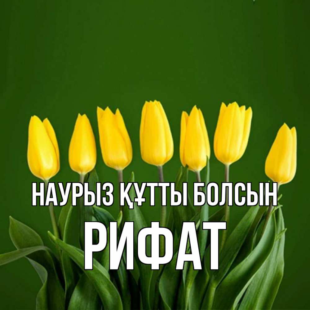 Открытка на каждый день с именем, Рифат Наурыз құтты болсын желтого цвета 3 Прикольная открытка с пожеланием онлайн скачать бесплатно 