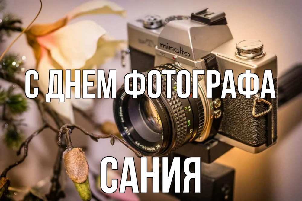 Открытка на каждый день с именем, Сания С днем фотографа с днем фотографа 1 Прикольная открытка с пожеланием онлайн скачать бесплатно 